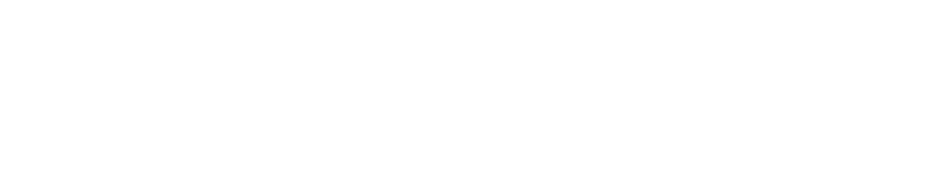 BLUEROBOTAI